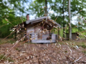 Bjärnhultsgårdens stugor in Linderöd